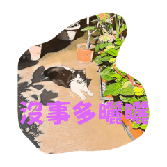 人生吖 熱辣滾燙