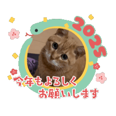 on_20241226204300
