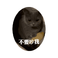 呆呼嚕2