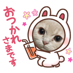 KINAKO_20241226164336