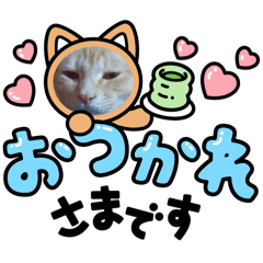 kikitoraranonitizyou