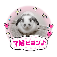 Yuto_20241226172736