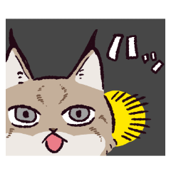 短尾猞猁 | Yabe-LINE貼圖代購 | 台灣No.1,最便宜高效率的代購網