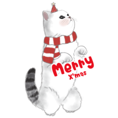 Cute little catty