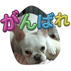 yuki_20241226183956