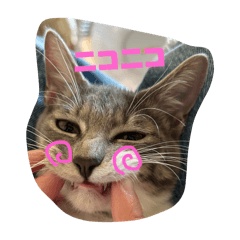 Ponzu_20241226175935
