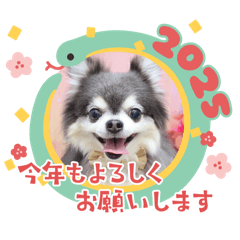 wakana_20241226201156