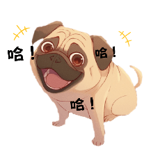 Little Pug Wu Long-Everyday Phrases