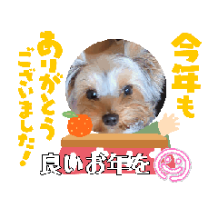 aya_20241227110811