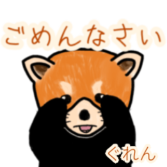 Guren's lesser panda