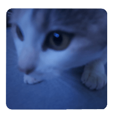 KOMUHANA_20241226235909