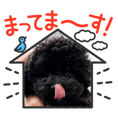 KOTO_20241226215944