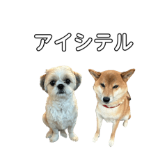 mizumo_20241226205642