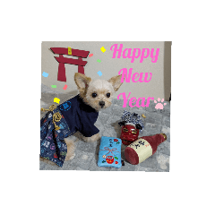 miko_20241226231809