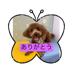 nico_20241227032437