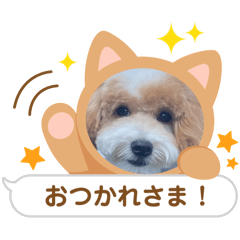 stamp of mydog,Baloo