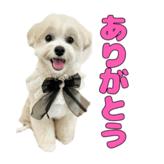 Hell Overload_20241227003107