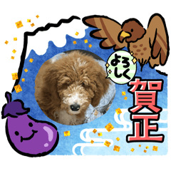 junko_20241227012501