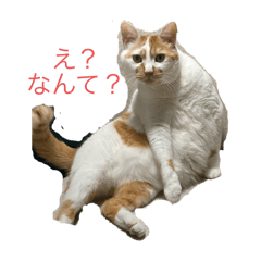 Kasumi_20241227110207