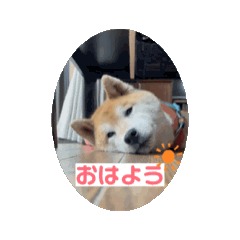 gocchi_20241227133105