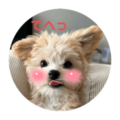 kinaco_20241227140708