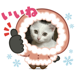 miki_20241227142109