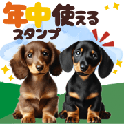 hanamomo_20241227210201