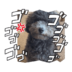 boo_20241227210833