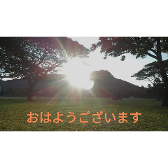你好333
