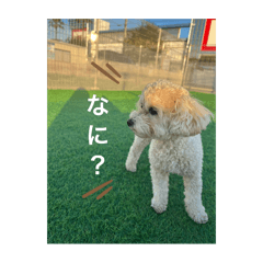 miyuki_20241227172500