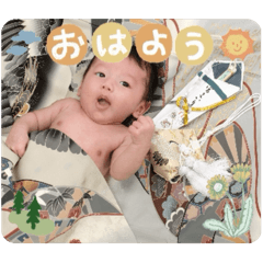 shin_20241227163045