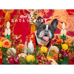 フレブル6兄弟のスタンプNO.4