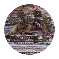 Ema_20241227151300