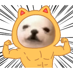 uu_20241227221728