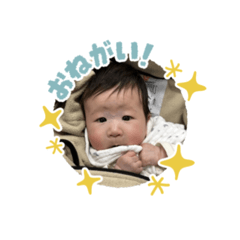 Sam_20241227235243