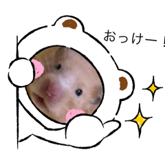 Nono_20241227180540