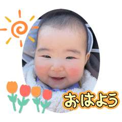 Chacha_20241227181834