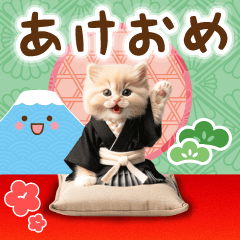 cat New Year's card resale