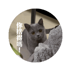 呆呼嚕1