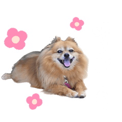 mai_20241227214403