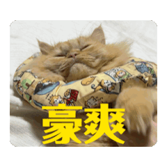 錨羋大站蒸