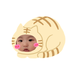 小若若> <