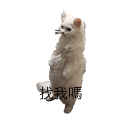 沒事用用 看看可愛的她