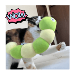 mai_20241227171714