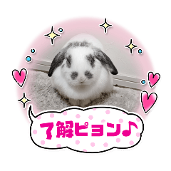 Yuto_20241227204243