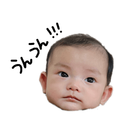 Apple_20241228003744
