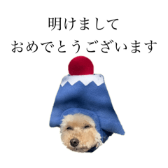 sange_20241228101933