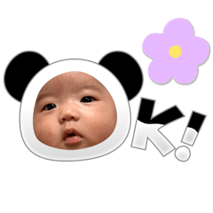 chan_20241227220624