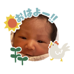 dodo_rinrin_20241228115848