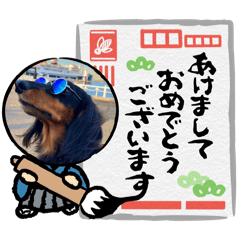 aqua_20241228110553